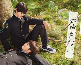 玉林seo站内优化